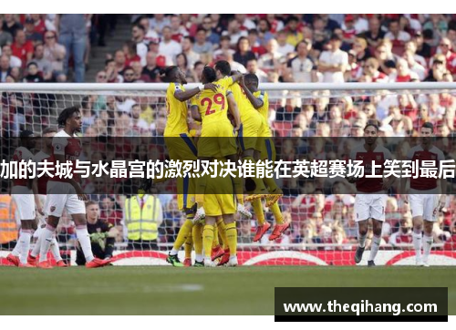 加的夫城与水晶宫的激烈对决谁能在英超赛场上笑到最后