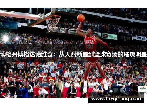 博格丹博格达诺维奇：从天赋新星到篮球赛场的璀璨明星