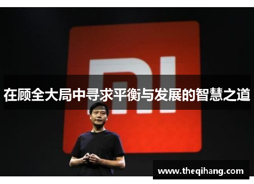 在顾全大局中寻求平衡与发展的智慧之道